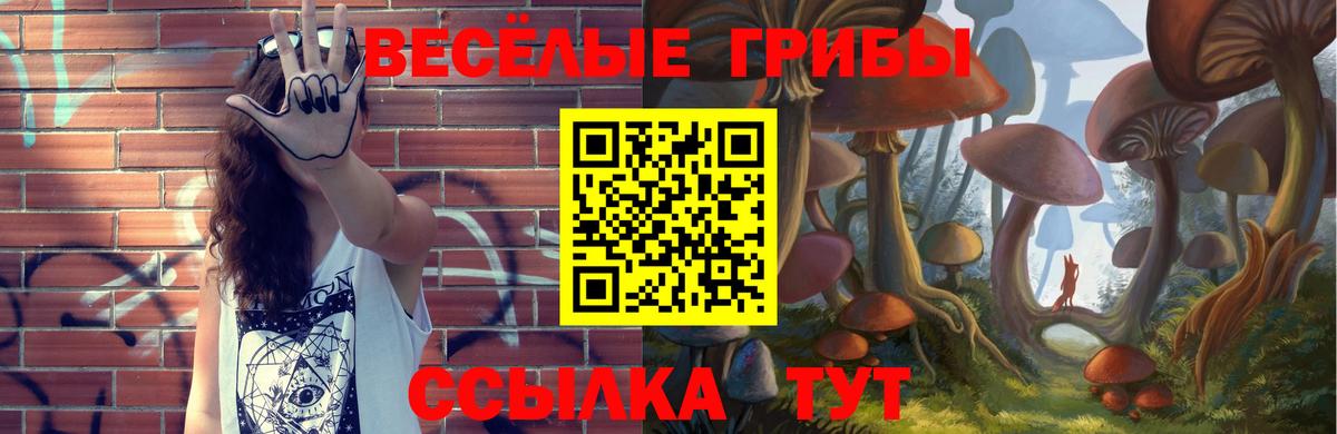 Псилоцибиновые грибы ЛСД Избербаш